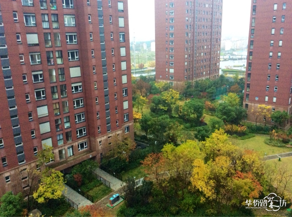 深秋烟雨笼西园_(l)朗诗绿色街区_华侨路茶坊