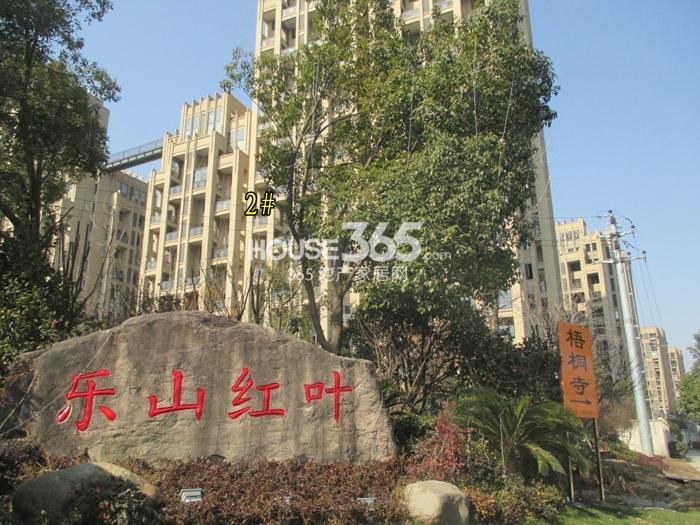 赞成乐山红叶项目2号楼实景图（2015.2）
