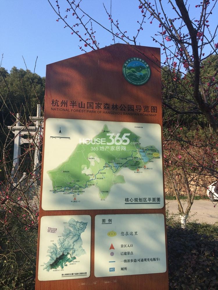 2015年2月中兴御田清庭项目周边半山国家森林公园
