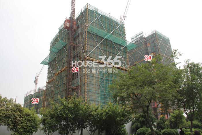 2015年5月紫元尚堂项目实景--2、3、6号楼