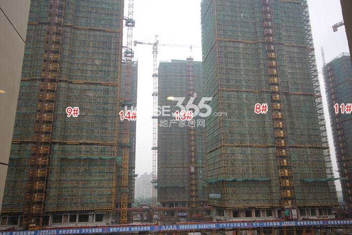 2015年5月大家运河之星项目实景--8、9、11、13、14号楼