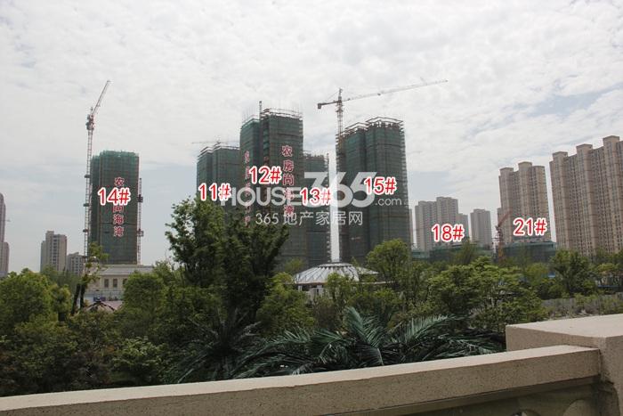 农房尚海湾11-15、18、21号楼实景图 2015年5月摄