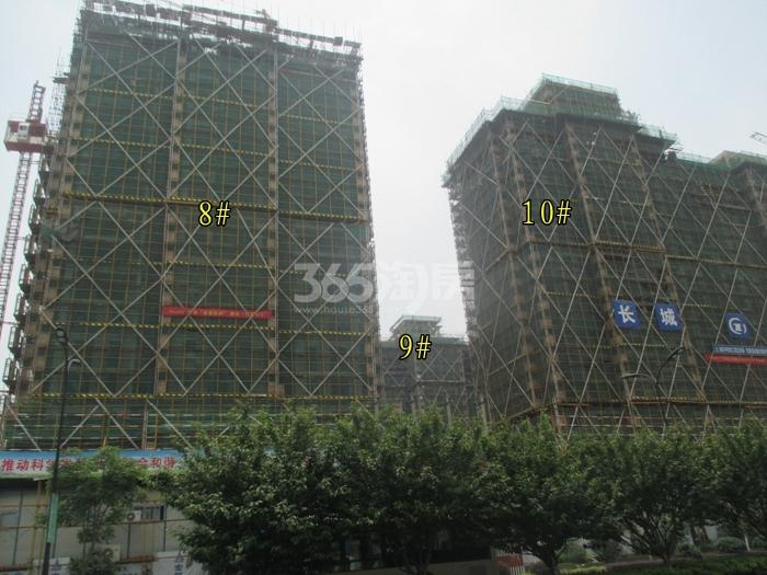 绿城蓝庭8、9、10号楼施工进程图（2015.6）