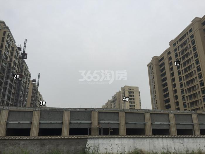 天阳晴朗1、2、3、4号楼施工实景图 2015年6月摄
