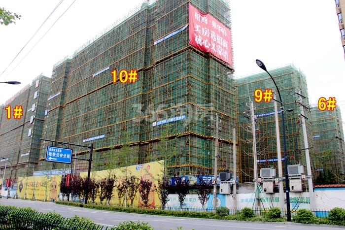 招商雍华府1、6、9、10号楼施工进度 2015年6月摄