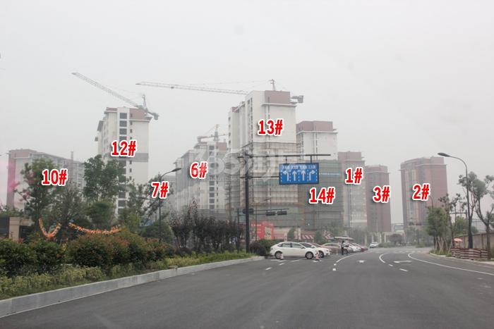 金地格林格林1-3、6、7、10、12-14号楼施工实景图 2015年7月摄