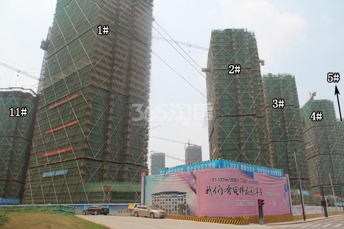 万泰城章项目1—5、11号楼施工进程图（2015.8）