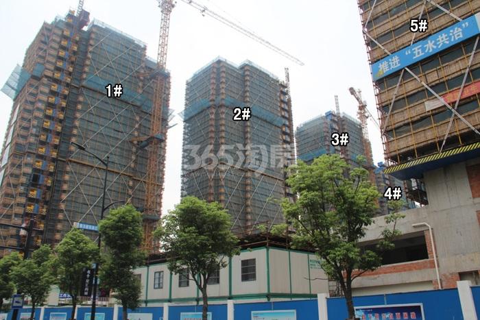 滨江万家名城二期1-5号楼施工实景图 2015年9月摄 