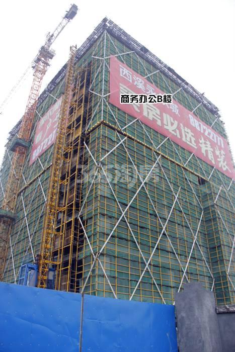 西溪永乐城项目商务办公B楼施工进程图（2015.11）