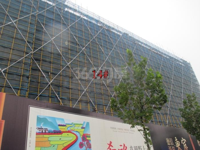 德信浙旅东宸14号楼施工进度实景图 2015年12月摄