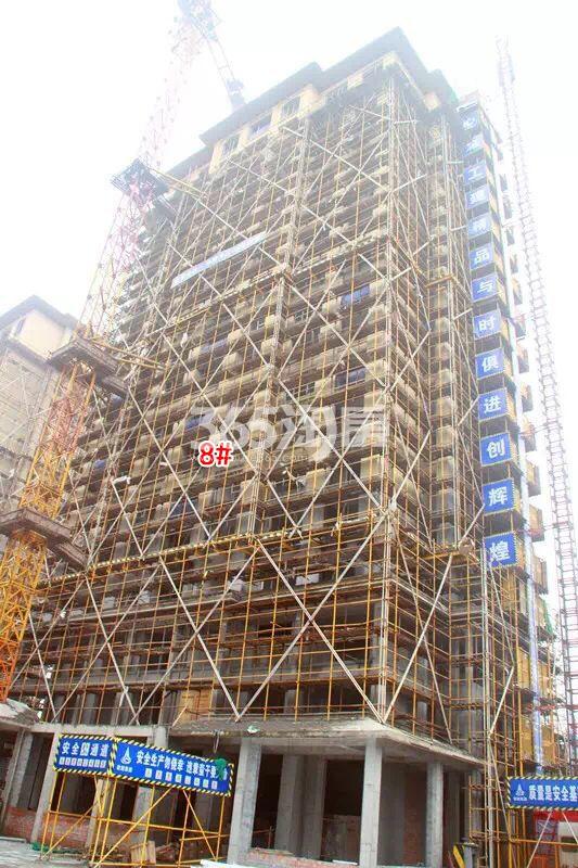 绿城蓝庭项目8号楼施工进程图（2015.12）