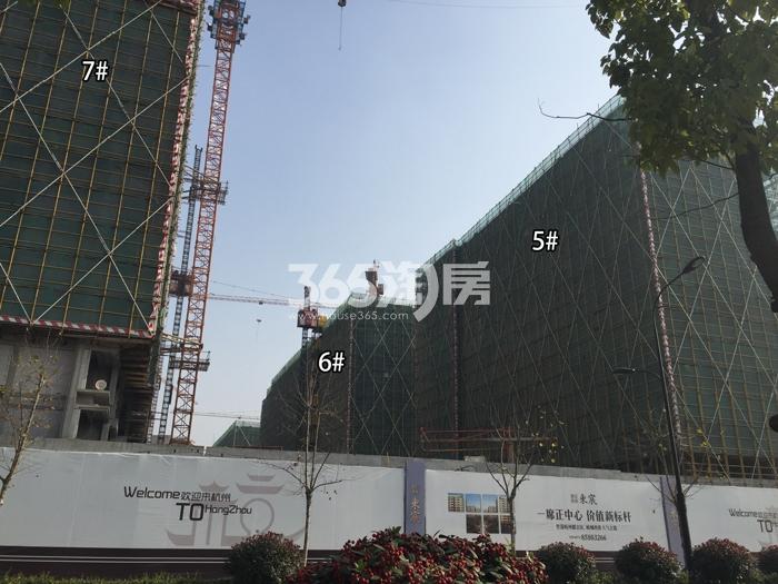 德信浙旅东宸5、6、7号楼施工进度实景图 2016年1月摄