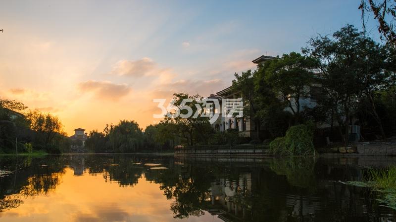 西溪风情花园观止苑项目黄昏实景图