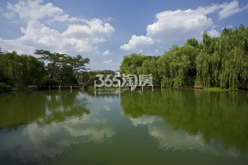 西溪风情花园观止苑项目水景实景图