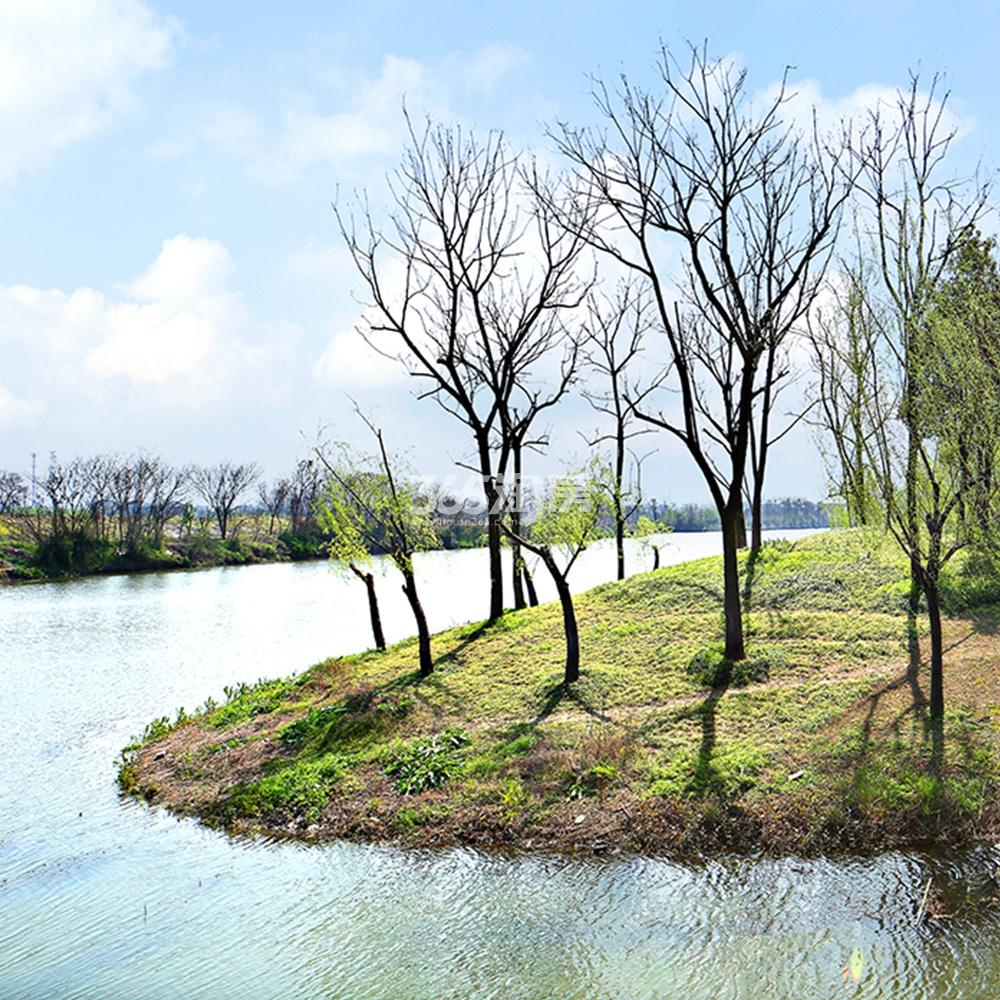 万科堂前二期周边水景