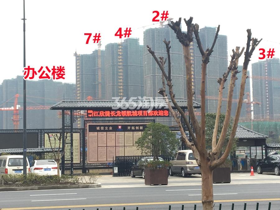 长龙领航城2-4、7号楼和办公楼实景图 2017年3月摄