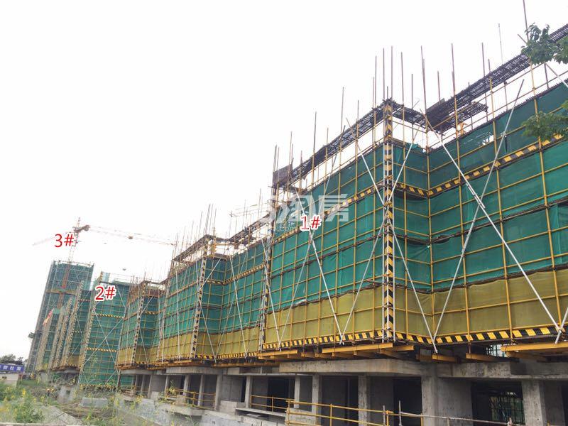 禹洲滨之江1-3号楼施工进程（2017.9）