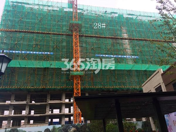 中南君悦府28#楼工程进度（2017.10）